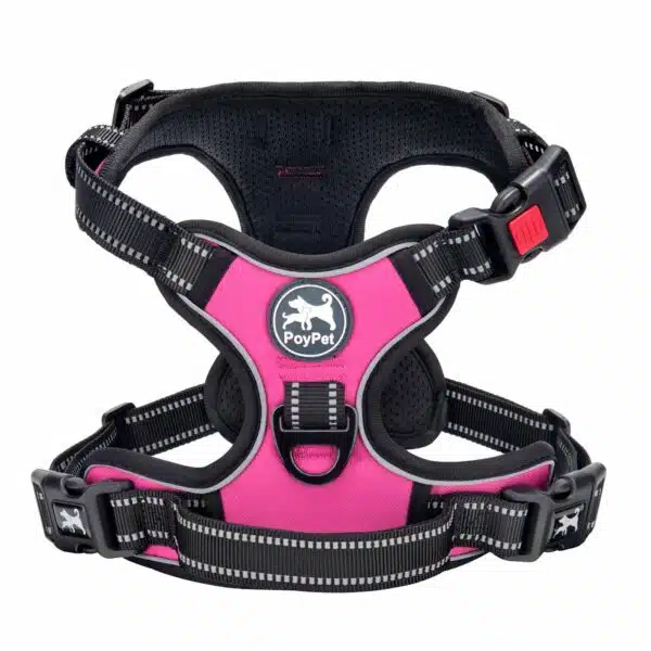 Best dog harness for medium dogs: top picks for comfort and control