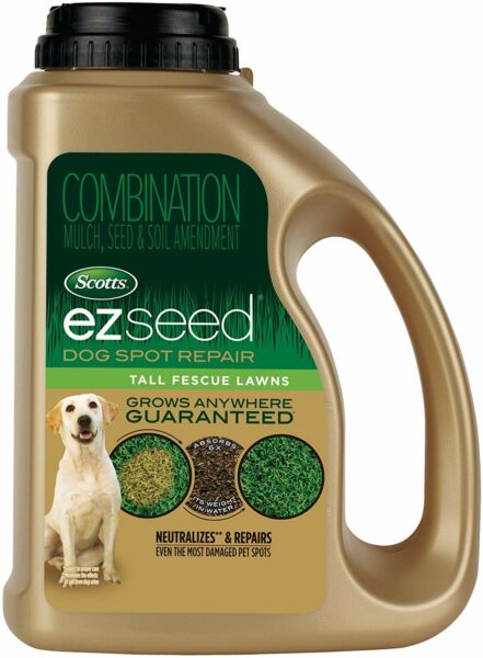 Best Grass Seed for Dogs: Top 5 Options for a Lush and Pet-Friendly Lawn