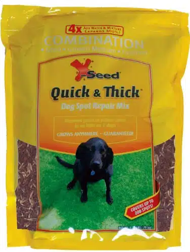 Best grass seed for dogs: top 5 options for a lush and pet-friendly lawn