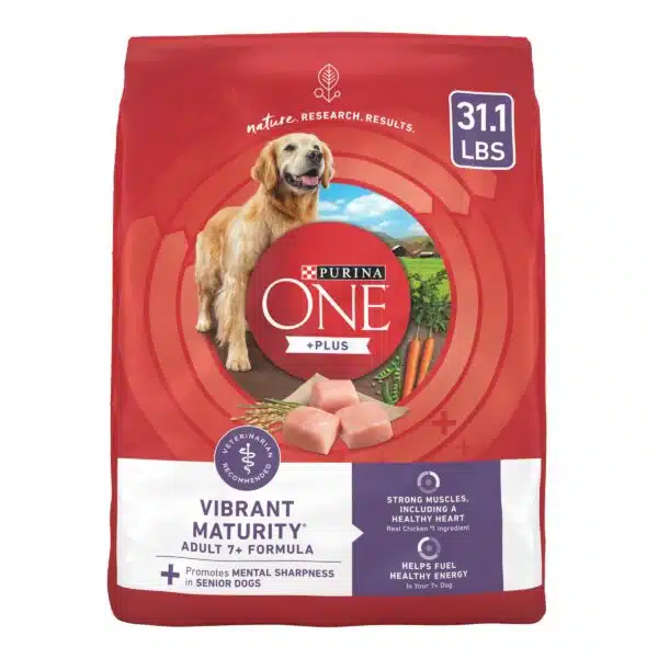 Best food for older dogs: nutritious options for senior canines