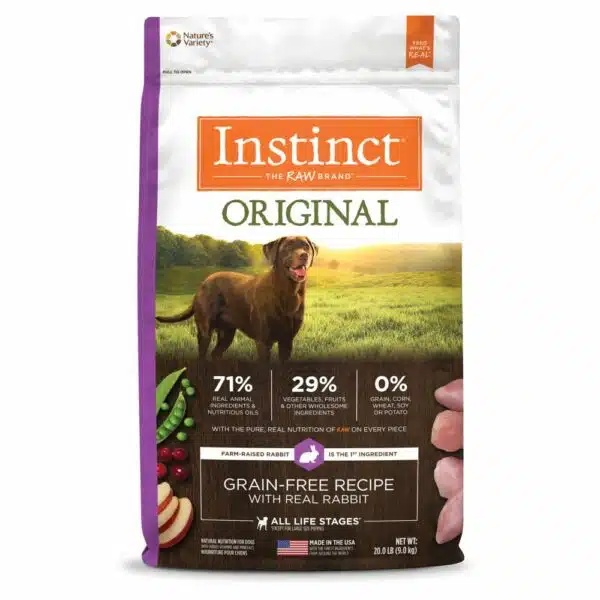Best dog food brands for large dogs: top picks for optimal health and nutrition