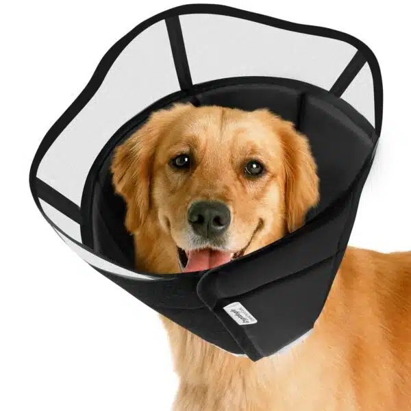 Best cone for dogs: top 5 options for comfortable healing