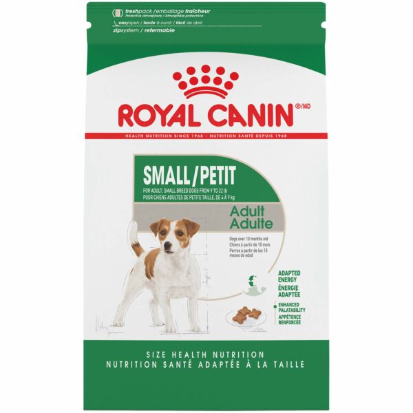 Best Dry Dog Foods for Small Dogs: Top Picks in 2023