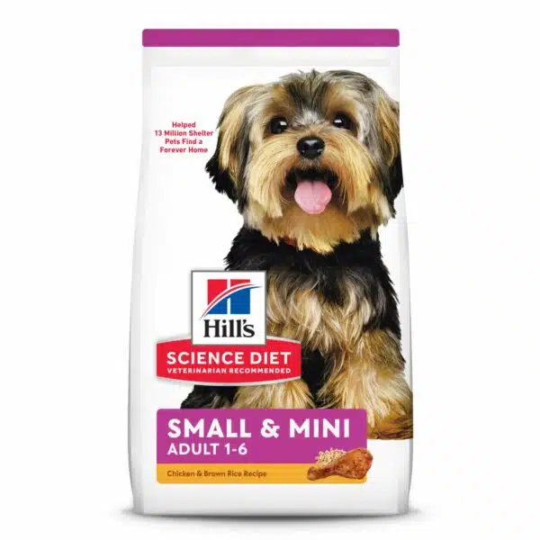 Best dry dog foods for small dogs: top picks in 2023