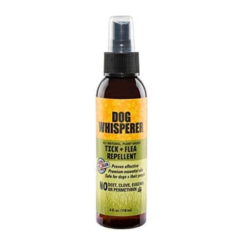 Best Tick Repellent for Dogs: Top Products to Keep Your Pup Safe from Ticks