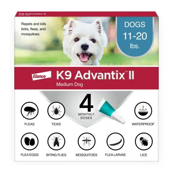 Best flea, tick, and heartworm prevention for dogs in 2023