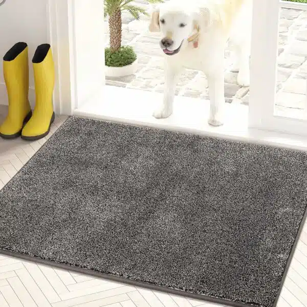 Best rugs for dogs: top picks for pet-friendly homes