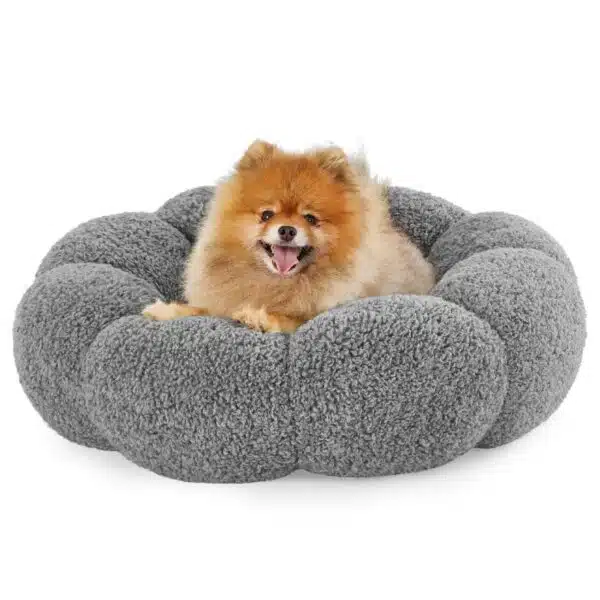 Best dog beds for small dogs: top picks for comfort and support