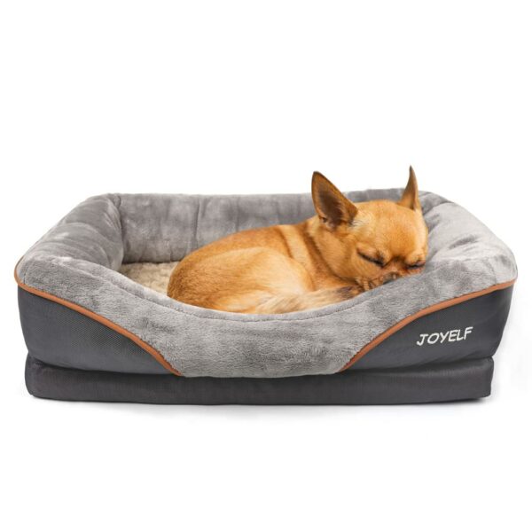 Best Dog Beds for Small Dogs: Top Picks for Comfort and Support