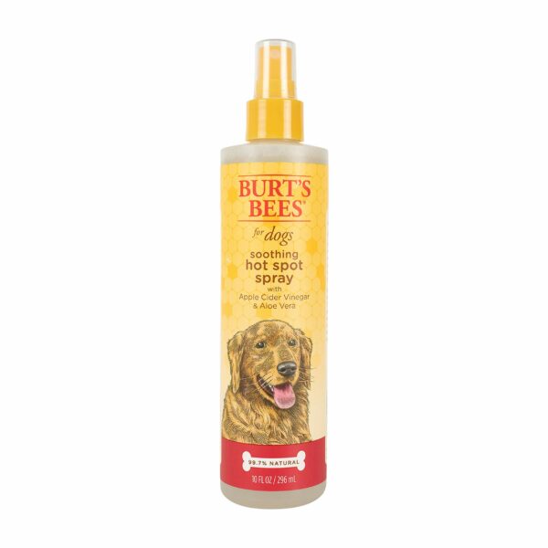 Best Hot Spot Treatment for Dogs: Top Picks for Quick Relief