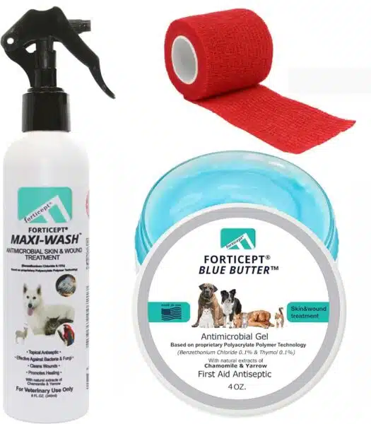 Best hot spot treatment for dogs: top picks for quick relief