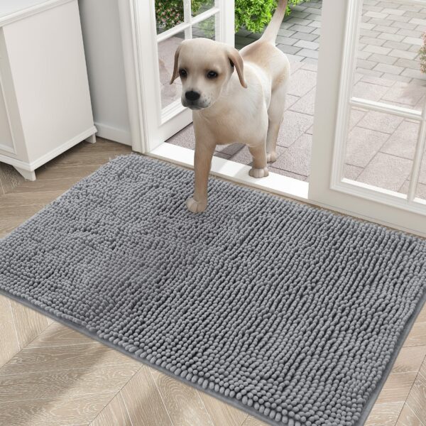 Best Rugs for Dogs: Top Picks for Pet-Friendly Homes