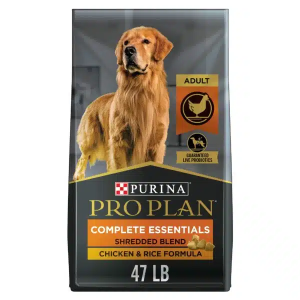 Best protein for dogs: top choices for optimal health