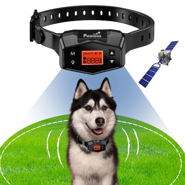 Best Wireless Fence for Dogs: Top Picks for 2023
