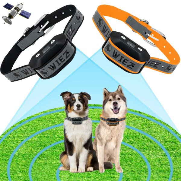Best Wireless Fence for Dogs: Top Picks for 2023