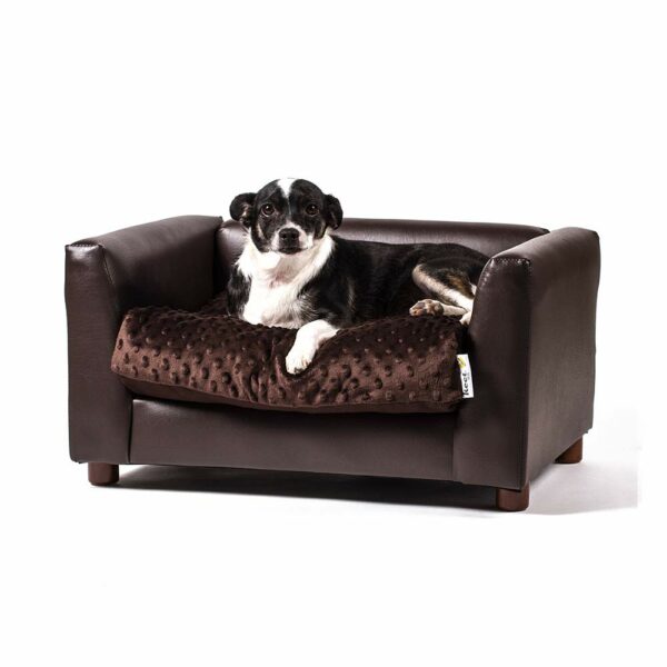 Best Sofas for Dogs: Comfortable and Durable Options for Your Furry Friend