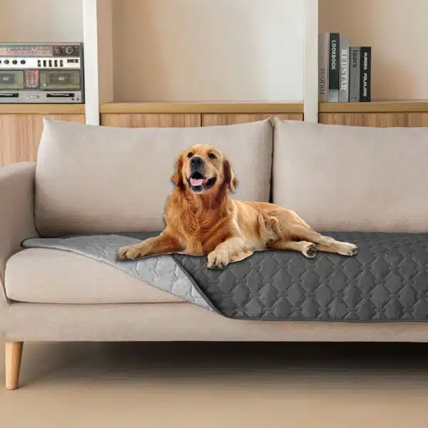 Best couch covers for dogs: protect your furniture from pet hair and scratches