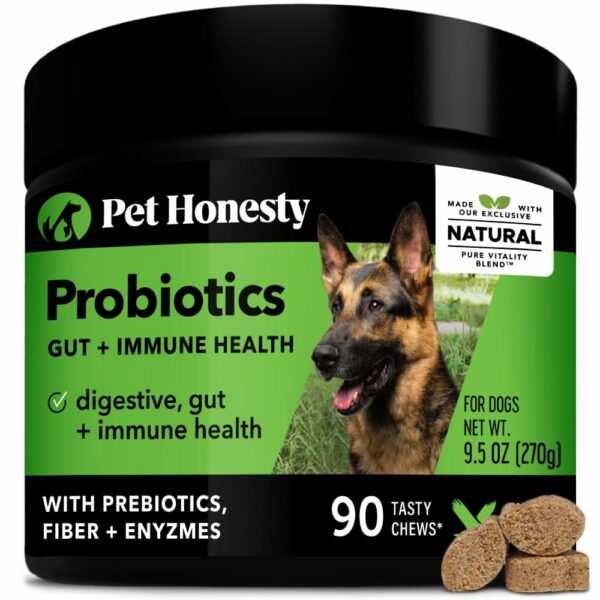 Best Human Probiotics for Dogs: Boost Your Pet's Gut Health with These Top Picks
