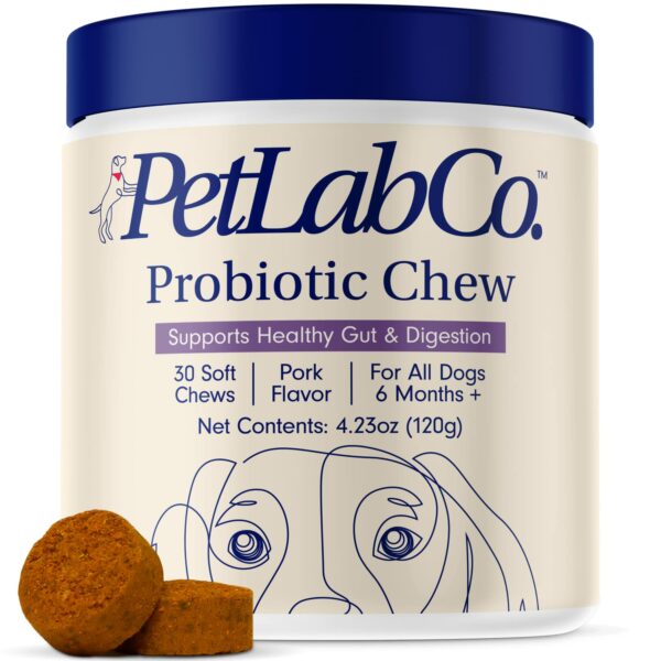 Best Human Probiotics for Dogs: Boost Your Pet's Gut Health with These Top Picks