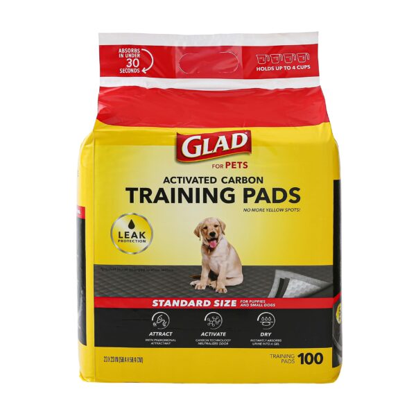 Best Pee Pads for Dogs: Top 10 Picks for 2023