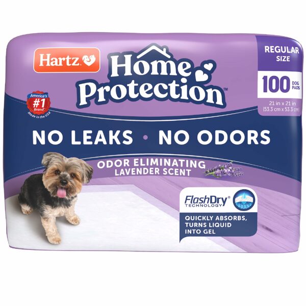 Best Pee Pads for Dogs: Top 10 Picks for 2023