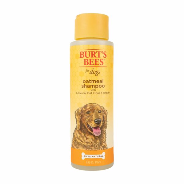 Best Oatmeal Shampoo for Dogs: Top Picks for a Soothing Bath