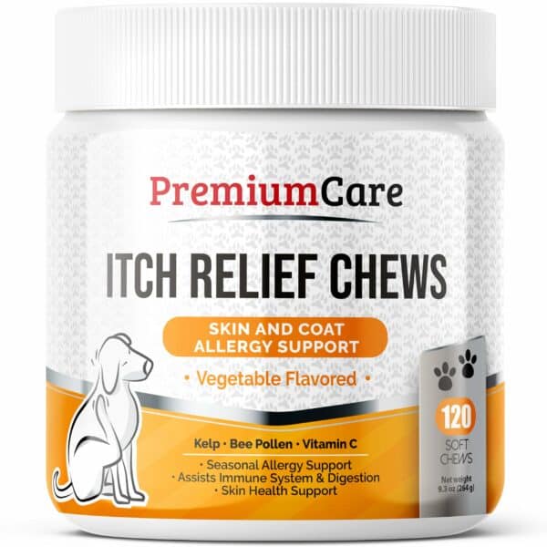 Best Allergy Medicine for Dogs with Itchy Skin: Top Picks for 2023