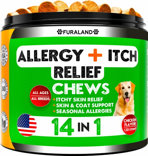 Best Allergy Medicine for Dogs with Itchy Skin: Top Picks for 2023