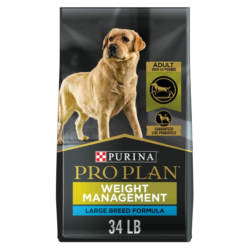 Best Weight Loss Food for Dogs: Top Picks and Tips