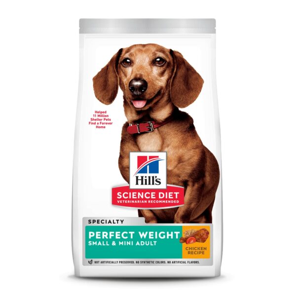 Best Weight Loss Food for Dogs: Top Picks and Tips