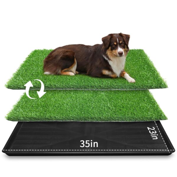Best Artificial Grass for Dogs: Top Picks for a Durable, Safe, and Low-Maintenance Lawn
