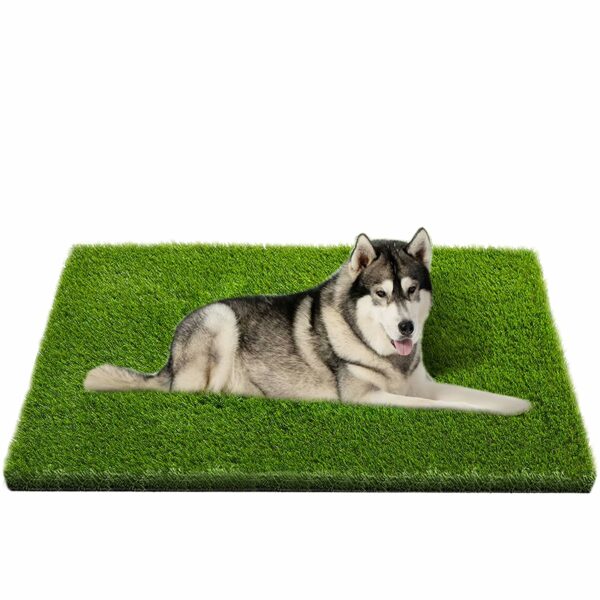 Best Artificial Grass for Dogs: Top Picks for a Durable, Safe, and Low-Maintenance Lawn