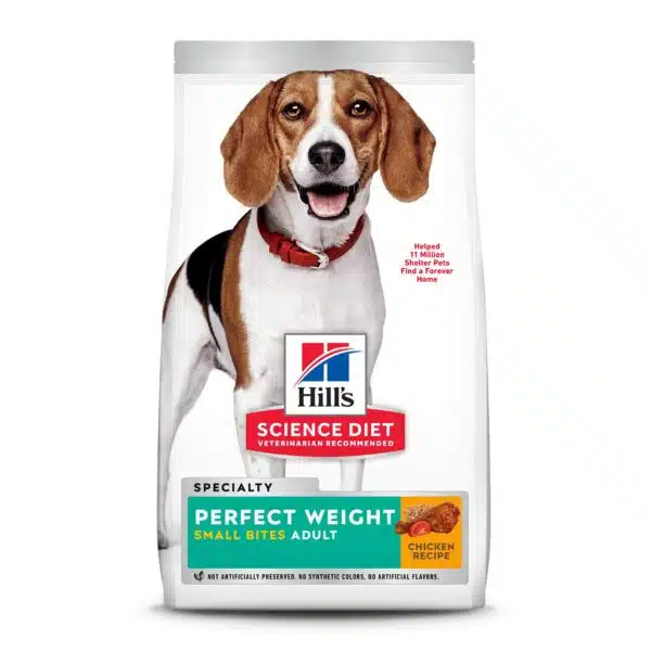 Best diet for dogs: expert recommendations for optimal canine health