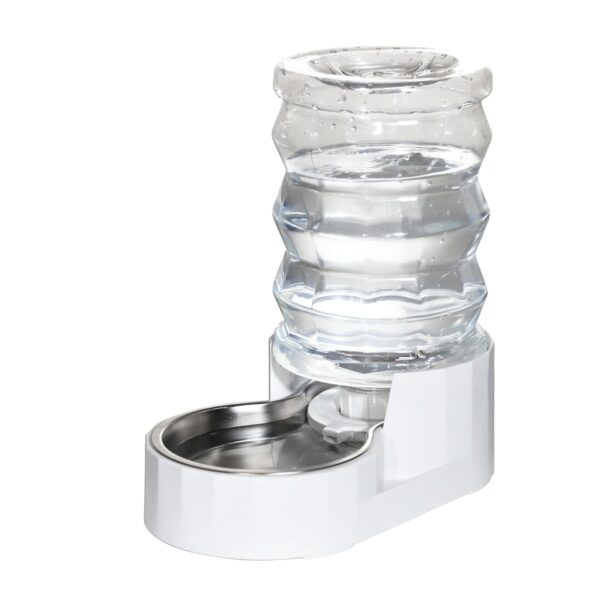 Best Water Bowl for Dogs: Top Picks for Hydration and Healthy Eating