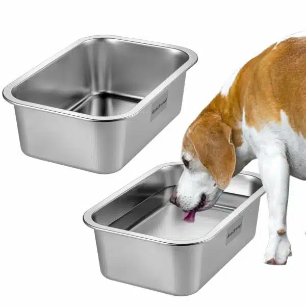 Best water bowl for dogs: top picks for hydration and healthy eating