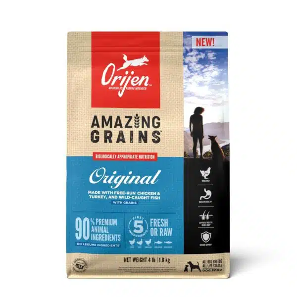 Best grains for dogs: a comprehensive guide