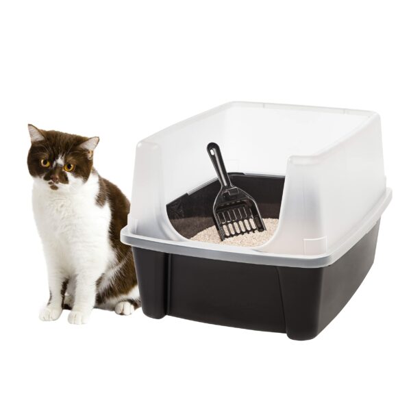 Best Litter Box for Cats: Top Picks for Easy Cleaning and Odor Control