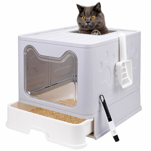 Best Litter Box for Cats: Top Picks for Easy Cleaning and Odor Control