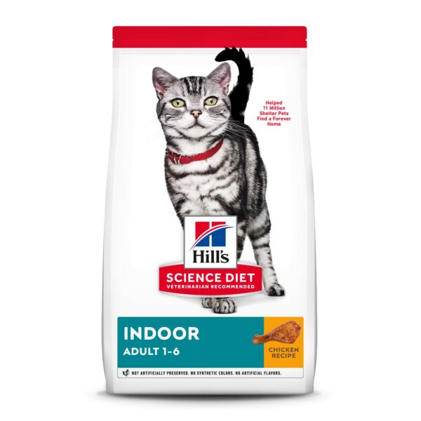 Best Dry Cat Food for Indoor Cats: Top Picks for Optimal Health