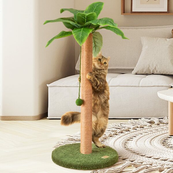 Best Scratching Post for Cats: Top Picks for 2023