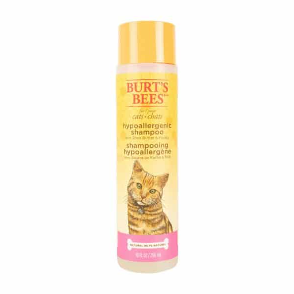 Best Shampoo for Cats: Top Picks for Clean and Healthy Feline Fur