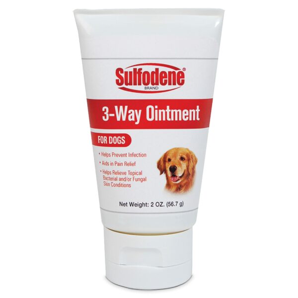Best Antibiotic Ointment for Dogs: Top Picks for Wound Healing