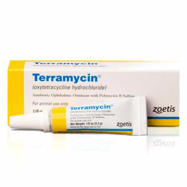 Best antibiotic ointment for dogs: top picks for wound healing
