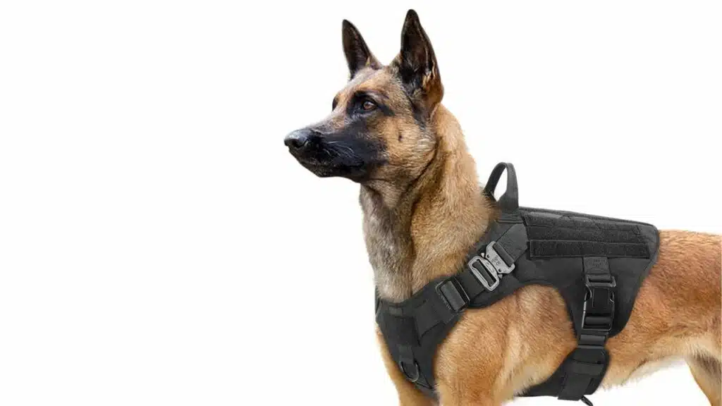 Rabbitgoo tactical dog harness