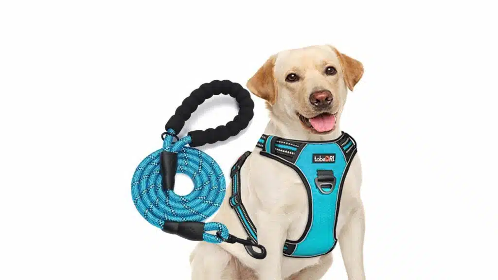 Tobedri no pull dog harness