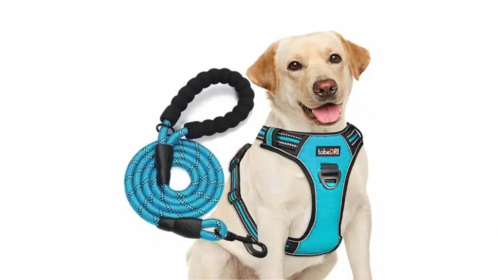 Tobedri no pull dog harness
