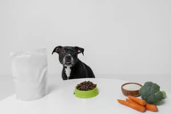 Best Organic Dog Food Brands for a Healthy Pup