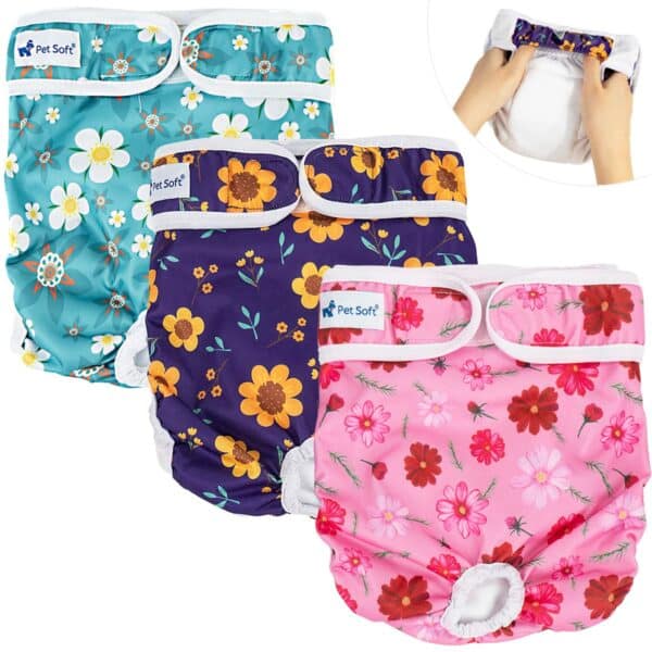 Best Dog Diapers for Incontinence and House Training
