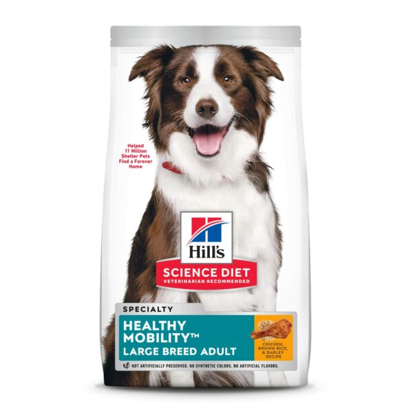 Best Dog Food for Border Collie  : Top Picks for Optimal Nutrition