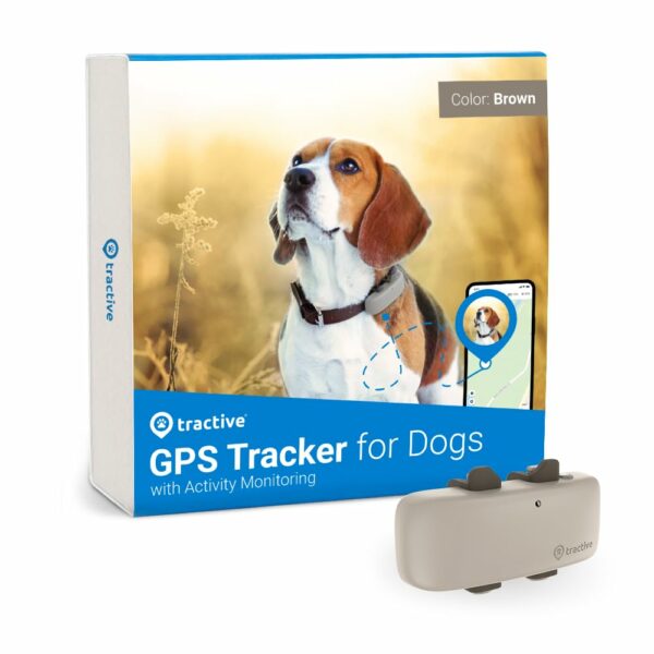 Best Dog Tracker Without Subscription: Top Picks in 2023